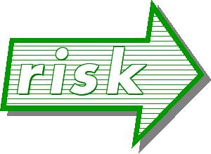 Signet Riskmanagement Consulting