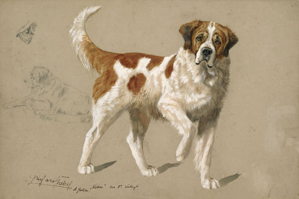 Un musée original: celui des fameux chiens du St-Bernard